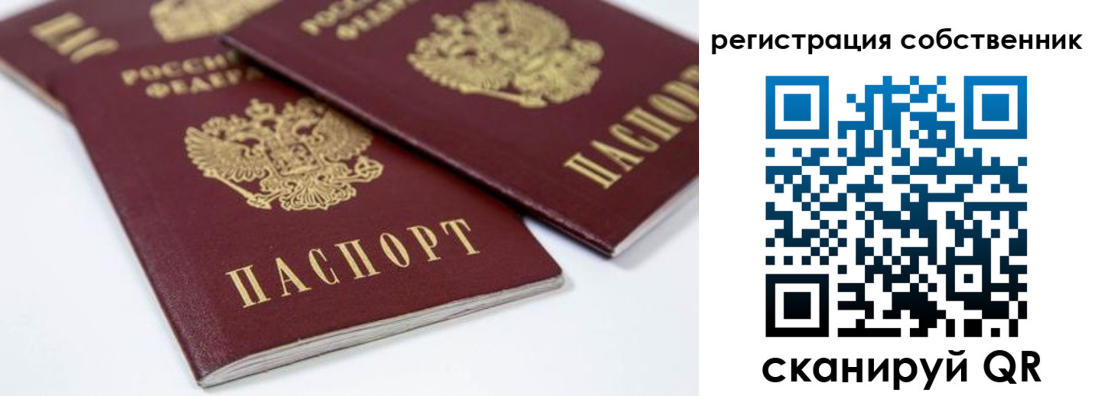 прописка для школы в Новошахтинске